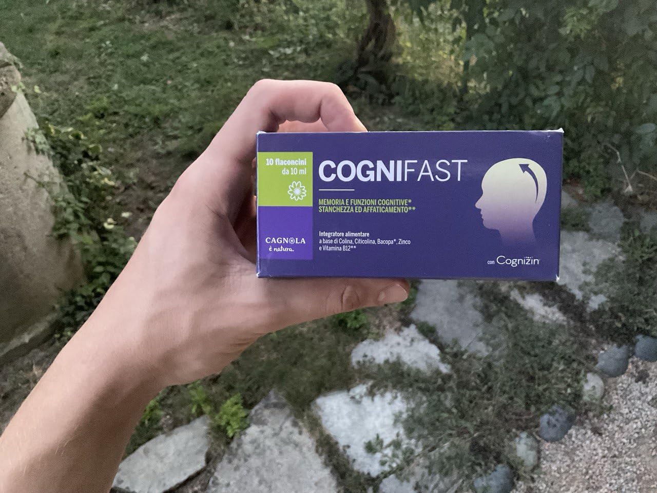 Cagnola Cogniflash integratore memoria 10 flaconi x 10 ml citicolina