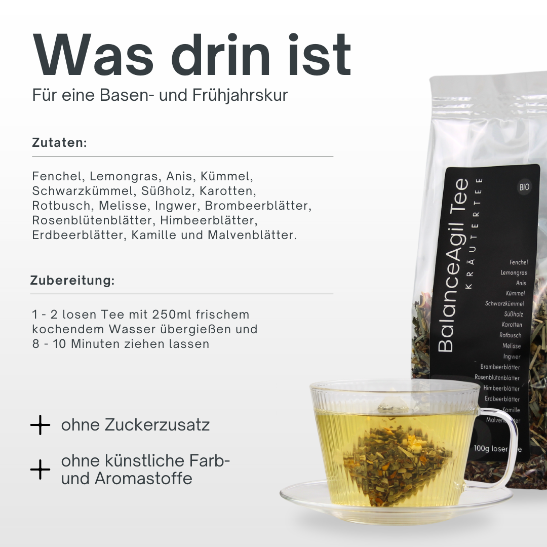 AgilNature BasenTee tisana sfusa 100 g sacchetto detox