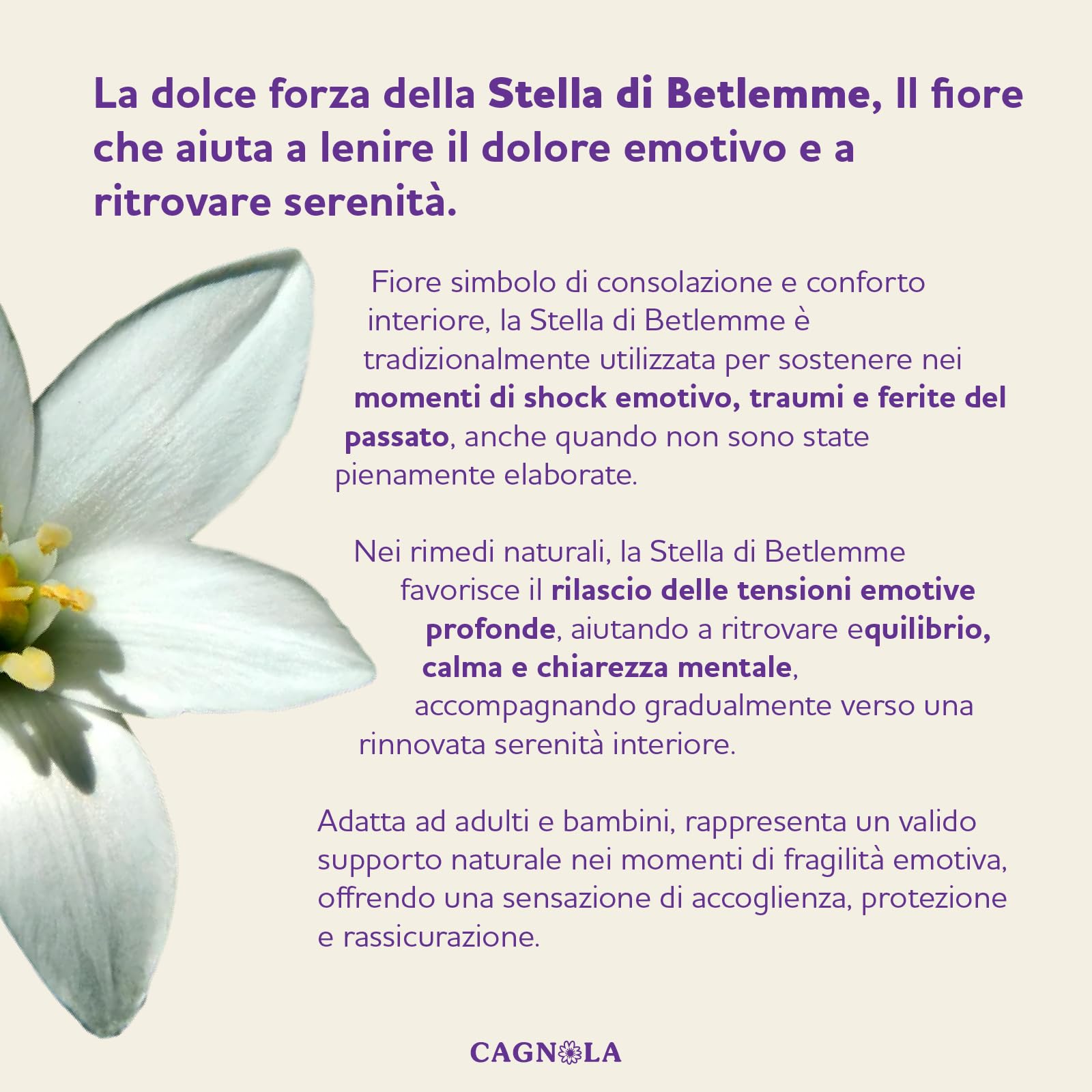 Cagnola Fiori di Bach Stella di Betlemme Globuli Shock Trauma