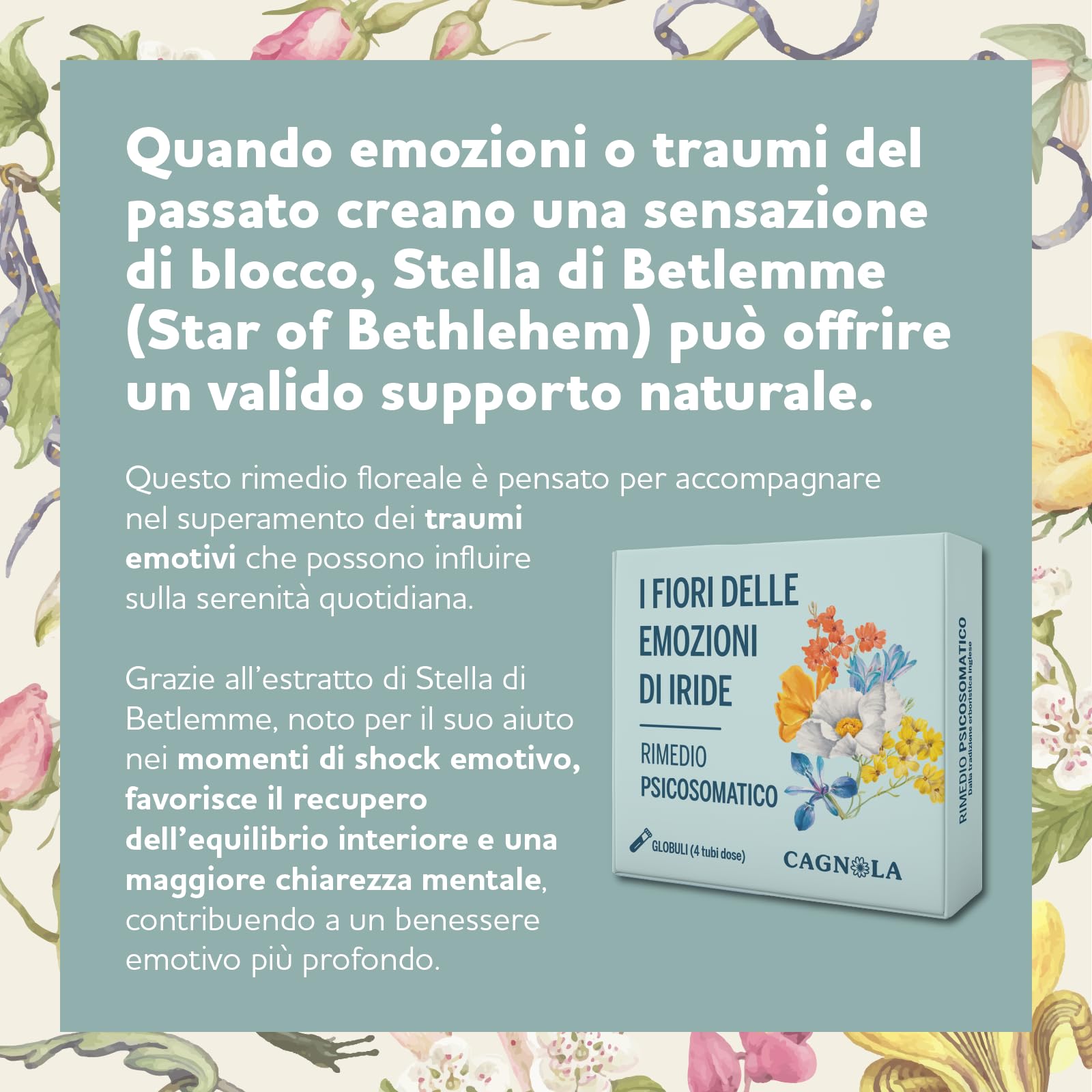 Cagnola Fiori di Bach Stella di Betlemme Globuli Shock Trauma