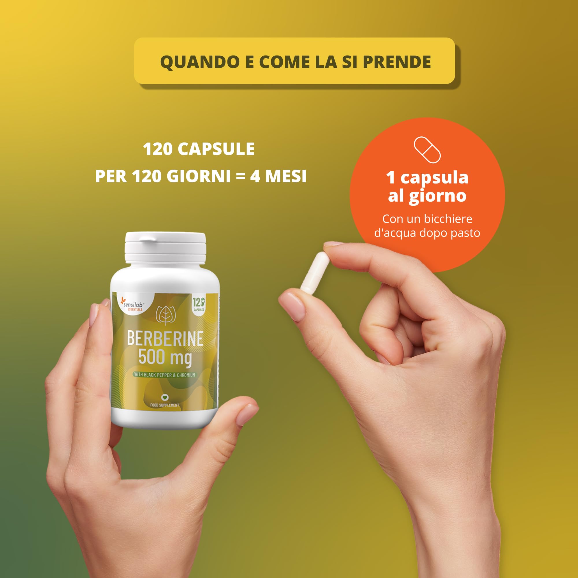 Sensilab Essentials Berberine integratore 500 mg 4 mesi